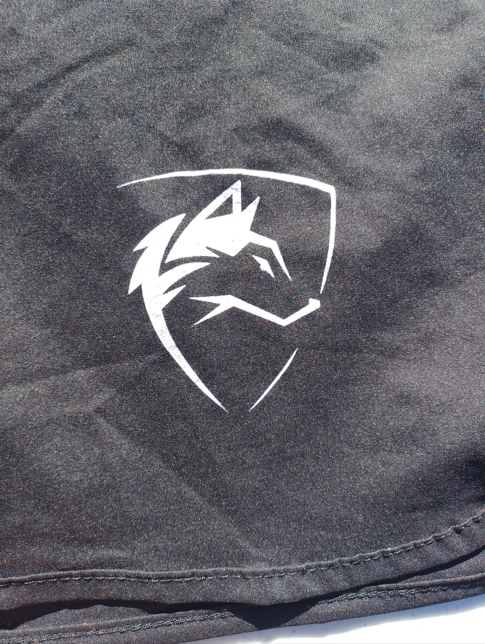 Alphalete black swim